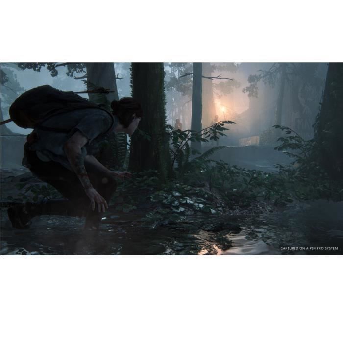 The Last of Us Part II Jeu PS4 - Compatible PS5